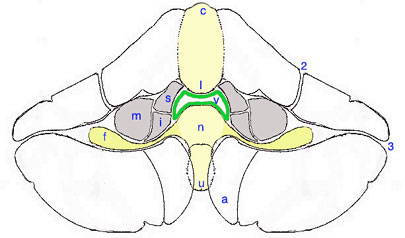 Sch.09