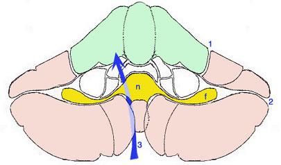Sch.10.jpg