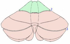 Sch.12.jpg