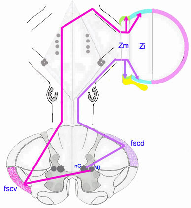 Sch.24