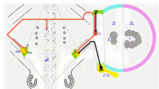 Sch.27