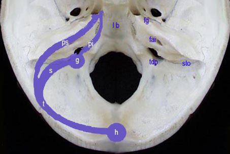 Sch.32.jpg