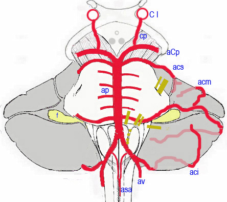 Sch.35