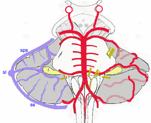 Sch.36