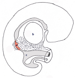 DP150-01.jpg