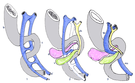 DP150-07.jpg