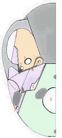 /anatomie/crane/images/exo-holes1.jpg